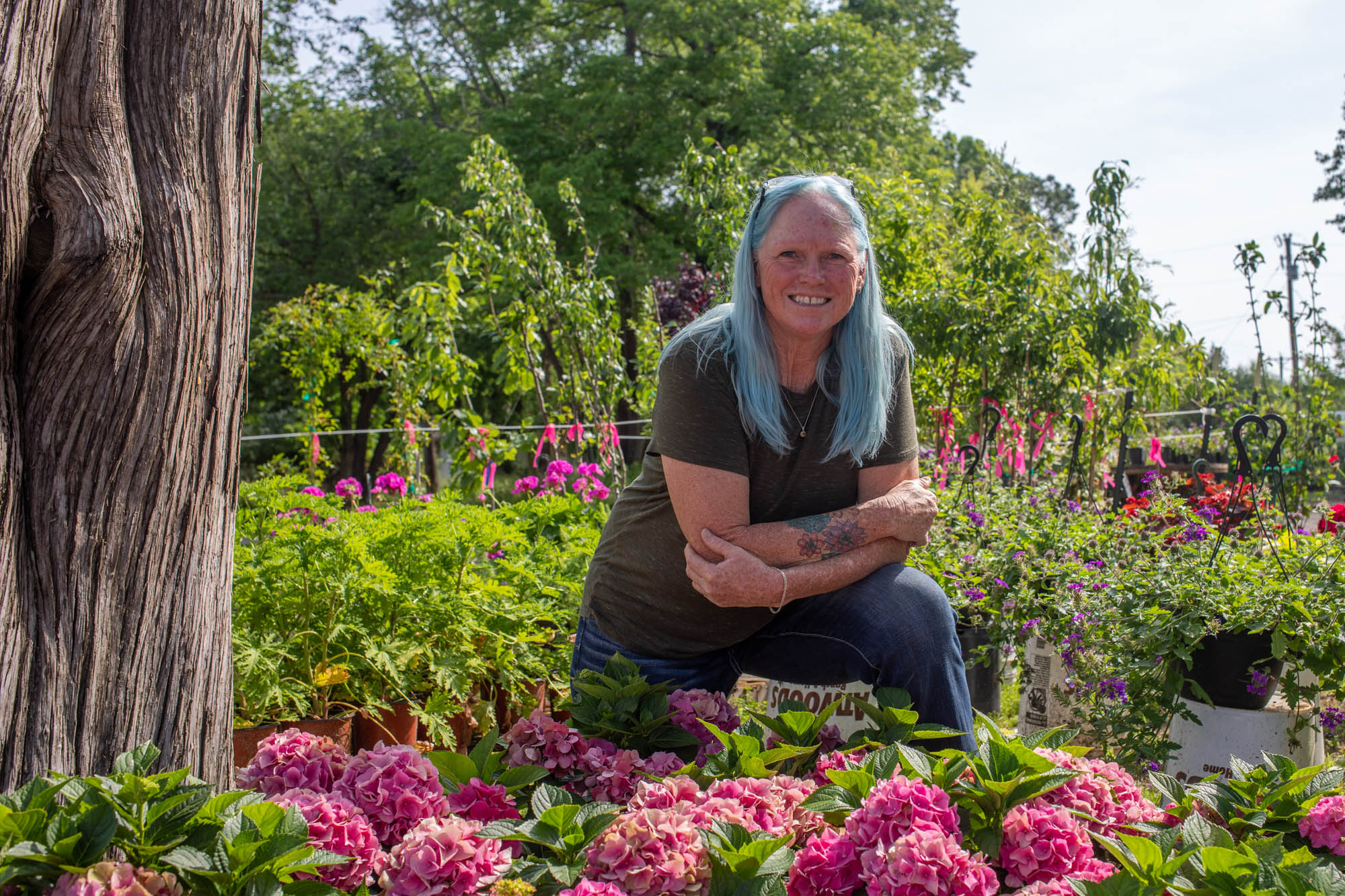 A happy, woman with tattoos, named Brenda Swagerty, kneels in a plant nursery, surrounded by vibrant pink hydrangeas and other plants. She's smiling and her arms are crossed over her knees. A tree trunk is to her left.